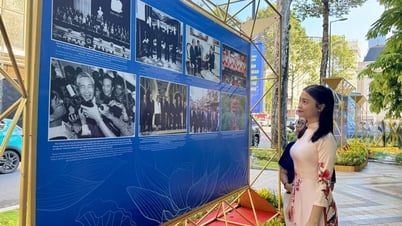 Eröffnung der Fotoausstellung „80 Jahre vietnamesische Diplomatie: Ehre und Stolz“
