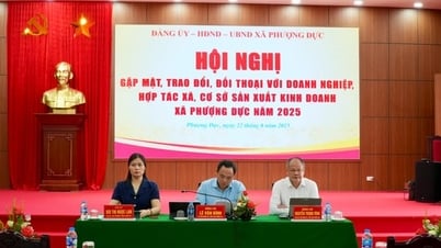 Xã Phượng Dực: Đồng hành cùng doanh nghiệp, thúc đẩy phát triển kinh tế