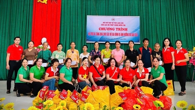 Cánh tay nối dài nhân đạo