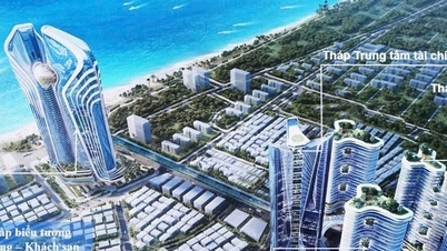 Di mana tepatnya Pusat Keuangan Internasional Da Nang berada?