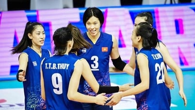 Báo Ba Lan nhận xét thẳng thắn về bóng chuyền nữ Việt Nam trước trận mở màn