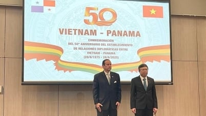 Việt Nam - Panama hướng tới kỷ niệm 50 năm thiết lập quan hệ ngoại giao