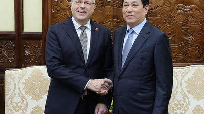 Präsident Luong Cuong empfing den finnischen Botschafter, der gekommen war, um sich zu verabschieden.