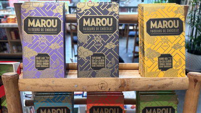 Đâu là bí mật giúp tạo nên hương vị chocolate “hảo hạng”