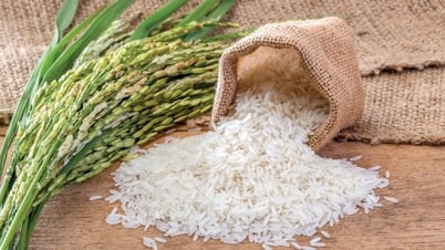 Giá gạo Việt Nam tiếp đà tăng mạnh, vươn lên mức đắt đỏ nhất thế giới