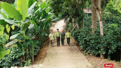 Hỗ trợ nhân dân vùng đệm rừng đặc dụng – phòng hộ Thuận Châu