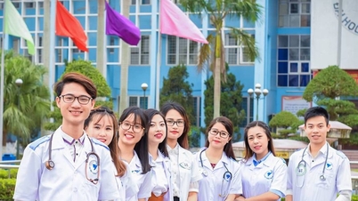タイビン医科大学薬学部入学スコア 2025