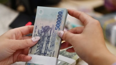 Bất cập thuế TNCN: Mẹ nhận tiền tuất hơn 1 triệu/tháng, con không thể giảm trừ gia cảnh