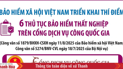 Triển khai thí điểm 6 thủ tục bảo hiểm thất nghiệp trên Cổng Dịch vụ công