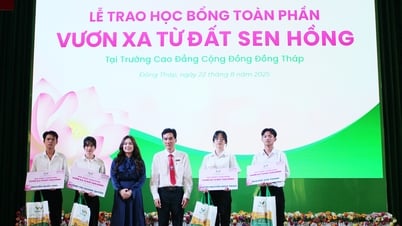 La Sociedad Anónima Grupo Viet Nga otorga la beca "Más allá de la Tierra del Loto Rosa".