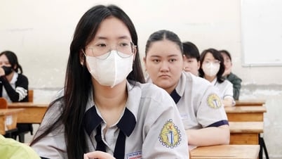 Rechtswissenschaftliche Universität Ho-Chi-Minh-Stadt: Ein Hauptfach hat 7 verschiedene Benchmark-Ergebnisse