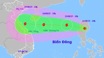 Biển Đông sắp đón bão số 5 mạnh cấp 11, miền Trung mưa lớn 600 m