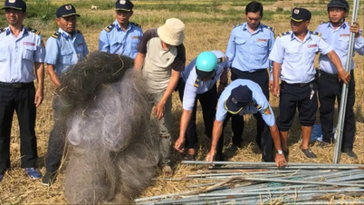 Los peligros de la caza de nidos de aves: esfuerzos para proteger recursos valiosos