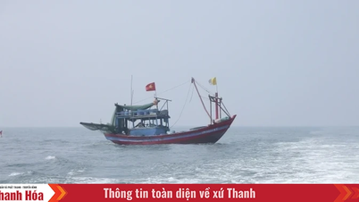 Thanh Hóa chủ động ứng phó với vùng áp thấp có khả năng mạnh lên thành áp thấp nhiệt đới và bão
