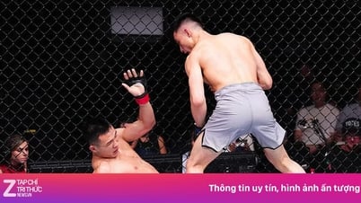 Nghiem Van Y stoppt im Halbfinale von Road to UFC 2025