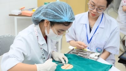 La Universidad Médica de Hanoi anunció la puntuación estándar: la medicina obtiene 28,13 puntos.