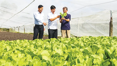 Synergie pour améliorer la qualité de la chaîne de valeur agricole