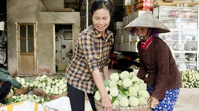 Nghĩa Phương: Nhộn nhịp mùa na
