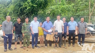Nghinh Tuong 지역 자연재해로 피해를 입은 유명인사들을 격려합니다.