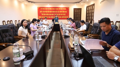 Thử nghiệm sản xuất giống và thả tái tạo nguồn lợi bào ngư tại Khu bảo tồn biển Bạch Long Vỹ