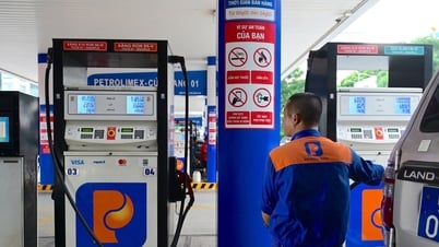 Giá xăng dầu hôm nay 22/8: Dầu thế giới vượt 67 USD/thùng