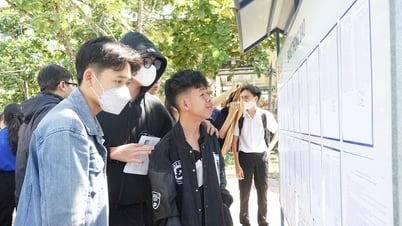 Đại học Đà Nẵng công bố điểm chuẩn vào các trường thành viên