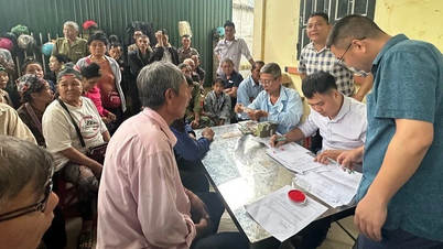Điện Biên chi trả hơn 14,6 tỷ đồng cho người dân góp đất trồng cao-su