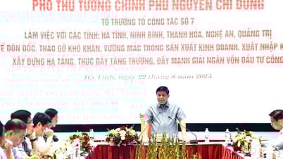 Phó Thủ tướng Nguyễn Chí Dũng làm việc với 5 địa phương để 'gỡ vướng', thúc đẩy tăng trưởng