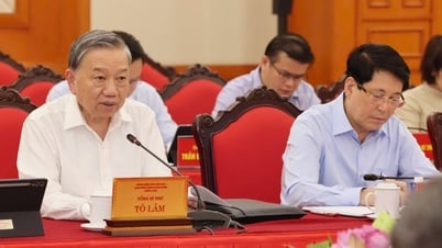 Bộ Chính trị làm việc với Ban Thường vụ Thành ủy TP Hà Nội và Thành ủy TPHCM