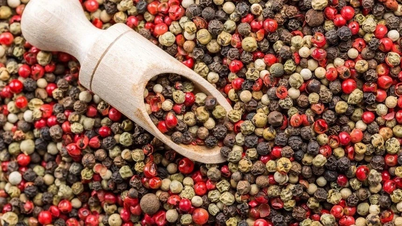 Giá hồ tiêu ngày 22-8 bật tăng 1.000-2.000 đồng/kg