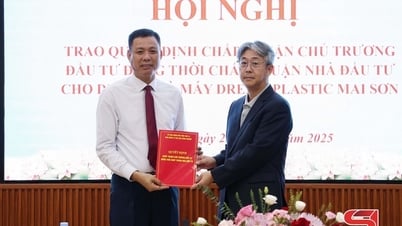 Chấp thuận chủ trương đầu tư Dự án Nhà máy Dream Plastic Mai Sơn