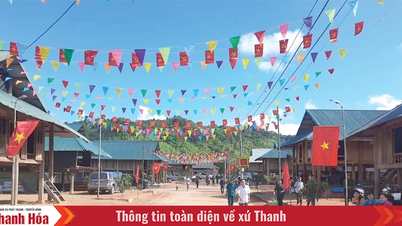 Ổn định sản xuất và đời sống người dân các dự án tái định cư vùng nguy cơ lũ ống, lũ quét, sạt lở đất