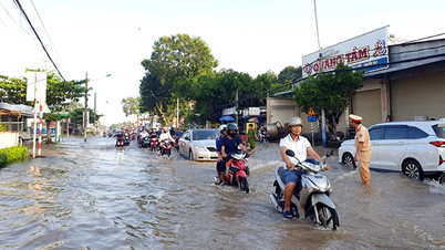Chủ động ứng phó triều cường kết hợp mưa lớn gây ngập lụt đô thị