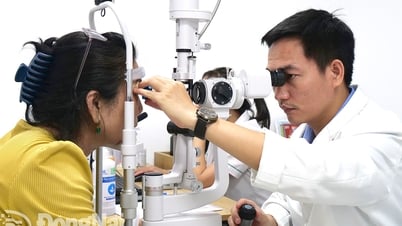 緑内障治療における薬剤使用の原則