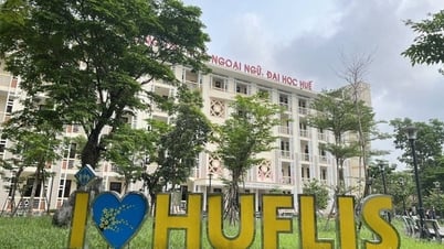 30 Punkte reichen nicht zum Bestehen: Warum ist die Fremdsprachenpädagogik der Hue-Universität „heftig“?