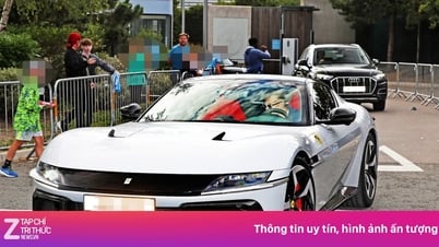 할란드의 자동차 놀이 수업