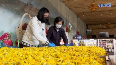Hơn 89.560 hộ nông dân đạt danh hiệu sản xuất kinh doanh giỏi các cấp