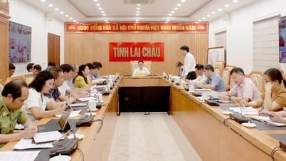 Lai Chau : Renforcer l'orientation du développement agricole local