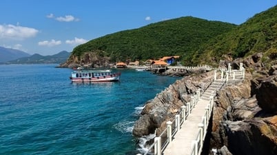 ニャチャン湾を訪れるには、1人あたり40,000ドンの最高料金がかかります。