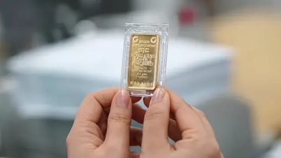 Gold price today August 23: Breaking all records, setting a new peak of nearly 127 million VND