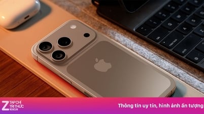 다음 달 애플에서 무엇을 기대할 수 있을까?