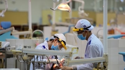 2025年の北部医学部のベンチマークスコア