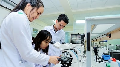 جامعة هوشي منه الوطنية تبدأ رحلتها نحو أفضل 100 جامعة في آسيا