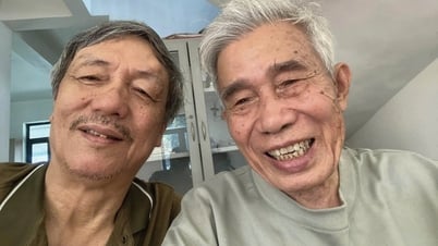 루오이 전선 수술소 - 2부: 수술실을 찾는 여정