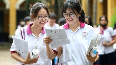 Der höchste Benchmark-Score der Hanoi University of Industry beträgt 26,27