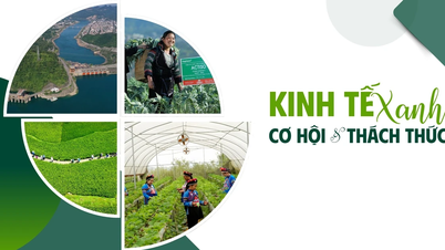 Green Economy: Opportunities and Challenges