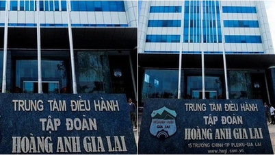 Hoang Anh Gia Lai is no longer on the warning list; Mr. Doan Hoang Nam holds 2.55% of the shares.