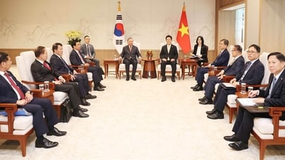 “Vietnam es un gran país, los vietnamitas son geniales...”