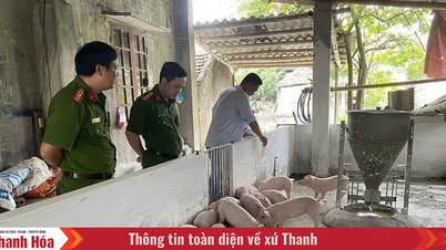 ផ្លូវឆ្ពោះទៅរកសេចក្តីសុចរិត