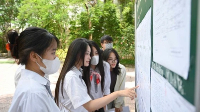Universities announce admission scores, many majors have more than 29 points